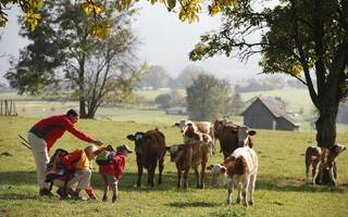 Region Naturpark Almenland