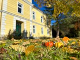 Herbst im GIZ Rosegg