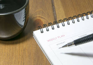 Workshops & Termine