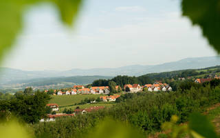 **** Wilfinger Hotels