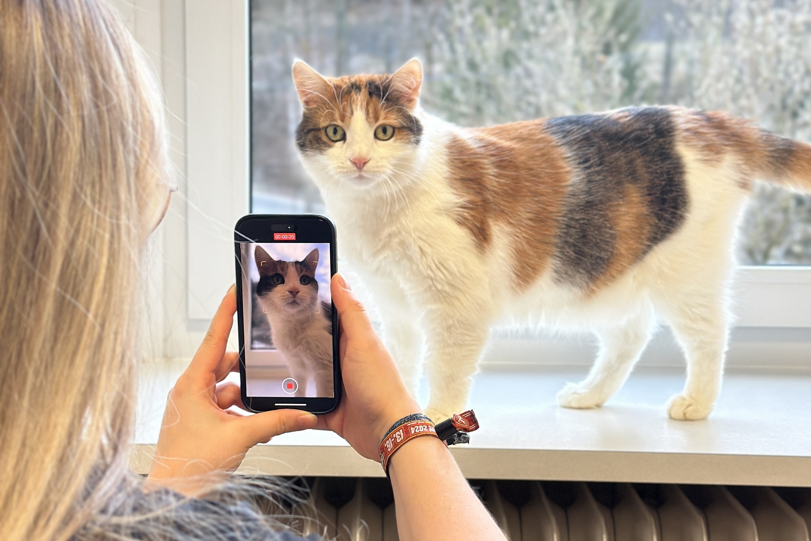 Laura filmt Katze Susi mit dem Smartphone.