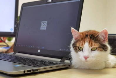 Susi hinterm Computer bei einem Zoom Meeting mit crosseye Marketing.