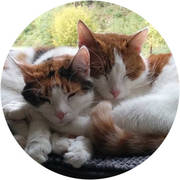 Susi und Charly