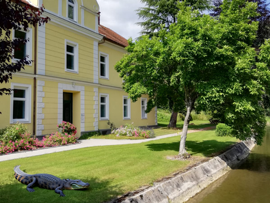 Alligator im GIZ Rosegg bei crosseye Marketing