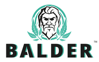 BALDER - Projekt abgeschlossen
