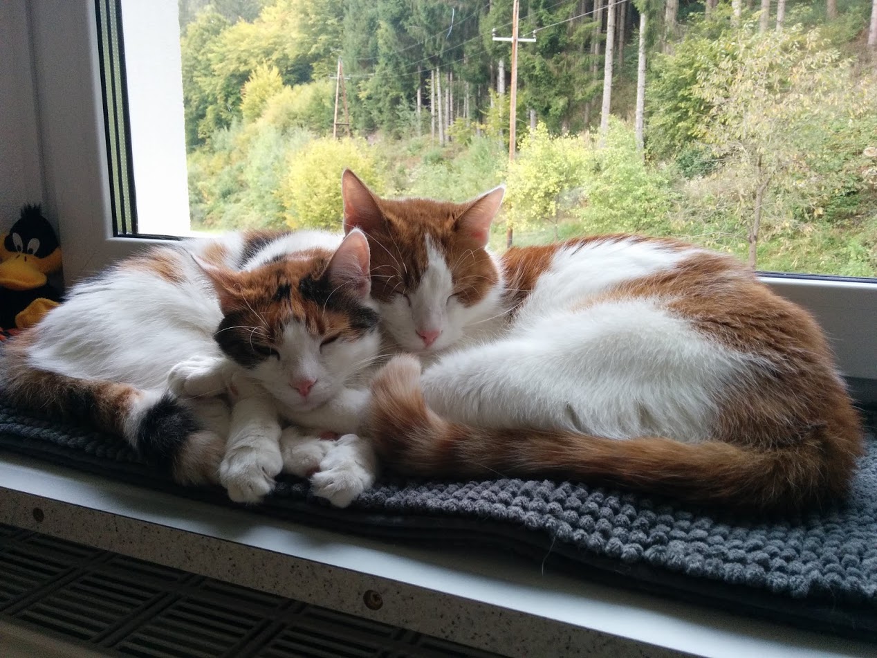 Susi und Charly