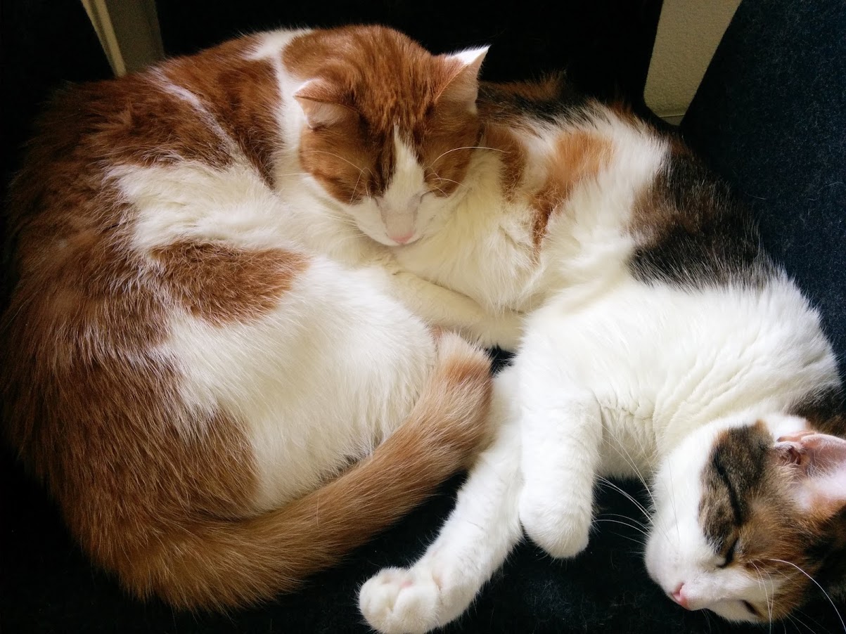 Susi und Charly