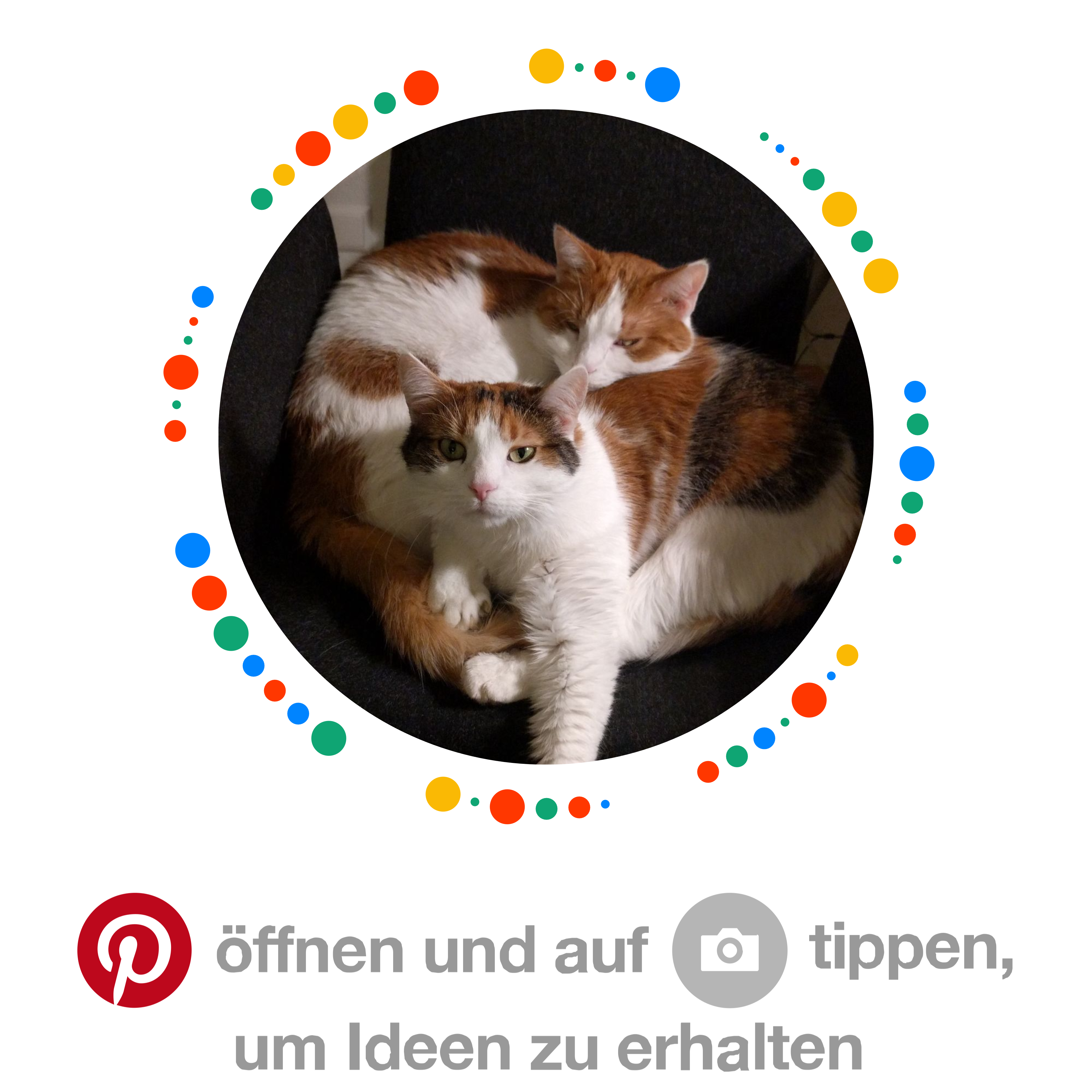 Susi & Charly auf Pinterest